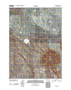 2011 Map of Alkali Lake, 2011 Print