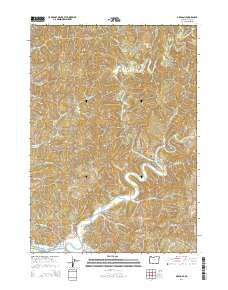 2014 Map of Allegany, 2014 Print