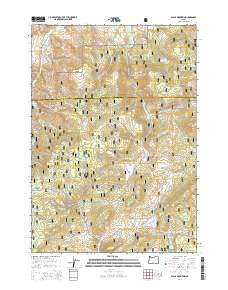 2014 Map of Alsup Mountain, 2014 Print