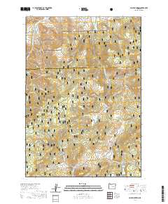 2020 Map of Alsup Mountain, 2020 Print