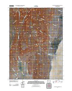 2011 Map of Alvord Hot Springs, 2011 Print