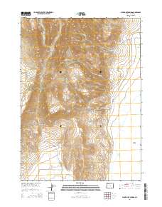 2014 Map of Alvord Hot Springs, 2014 Print