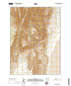 2020 Map of Alvord Hot Springs, 2020 Print
