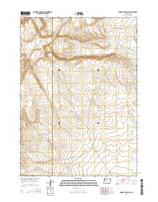 2014 Map of Ancient Lake Well, 2014 Print