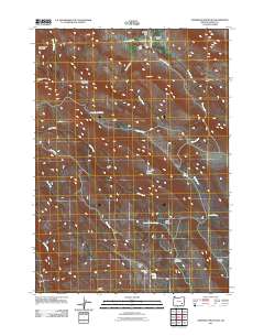 2011 Map of Anderson Mountain, 2011 Print