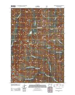 2011 Map of Aneroid Mountain, 2011 Print