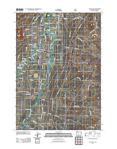 2011 Map of Anns Butte, 2011 Print