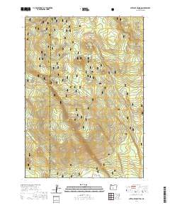 2020 Map of Antelope Mountain, 2020 Print