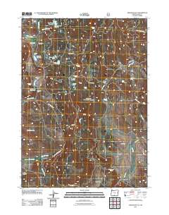 2011 Map of Arkansas Flat, 2011 Print
