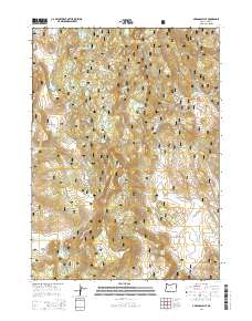 2014 Map of Arkansas Flat, 2014 Print