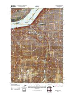 2011 Map of Arlington, 2011 Print