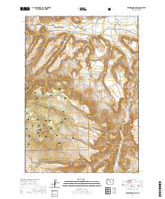 2020 Map of Arrowwood Point, 2020 Print