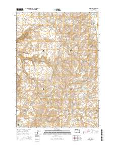 2014 Map of Ashwood, 2014 Print