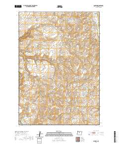2020 Map of Ashwood, 2020 Print