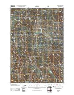 2011 Map of Austin, 2011 Print