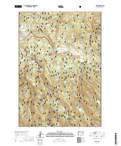 2020 Map of Austin, 2020 Print