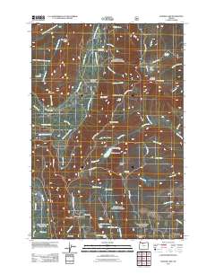 2011 Map of Badger Lake, 2011 Print