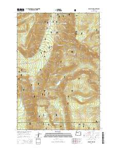 2014 Map of Badger Lake, 2014 Print