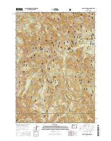 2014 Map of Bagby Hot Springs, 2014 Print