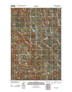 2011 Map of Baker Point, 2011 Print