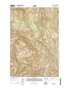 2014 Map of Baker Point, 2014 Print