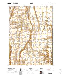 2020 Map of Balls Lake, 2020 Print