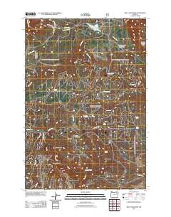 2011 Map of Bally Mountain, 2011 Print