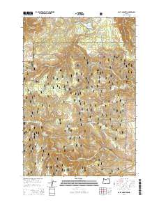 2014 Map of Bally Mountain, 2014 Print