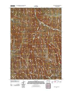 2011 Map of Balm Canyon, 2011 Print