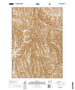 2020 Map of Balm Canyon, 2020 Print
