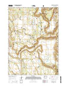 2014 Map of Barnes Valley, 2014 Print