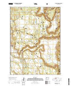 2020 Map of Barnes Valley, 2020 Print