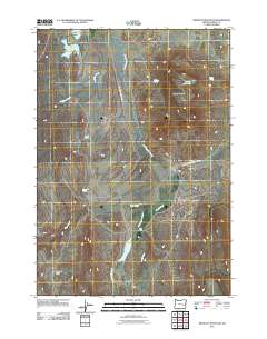 2011 Map of Bartlett Mountain, 2011 Print