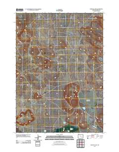 2011 Map of Barton Lake, 2011 Print