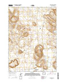 2014 Map of Barton Lake, 2014 Print
