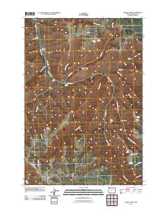 2011 Map of Bassey Creek, 2011 Print