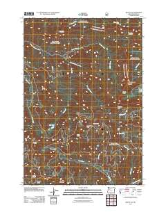 2011 Map of Battle Ax, 2011 Print