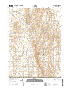 2014 Map of Battle Mountain, 2014 Print