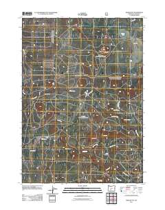 2011 Map of Bear Butte, 2011 Print
