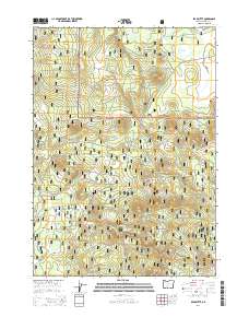 2014 Map of Bear Butte, 2014 Print