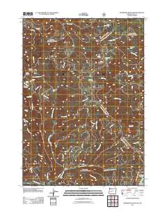 2011 Map of Bearbones Mountain, 2011 Print