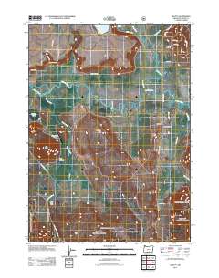 2011 Map of Beatty, 2011 Print