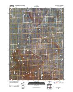 2011 Map of Beatys Butte, 2011 Print