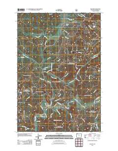 2011 Map of Beaver, 2011 Print