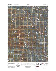 2011 Map of Beaver Butte, 2011 Print