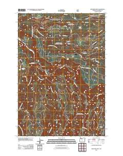 2011 Map of Bedford Point, 2011 Print