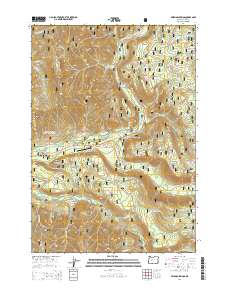 2014 Map of Belknap Springs, 2014 Print
