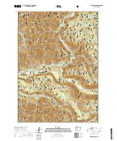 2020 Map of Belknap Springs, 2020 Print