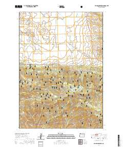 2020 Map of Belshaw Meadows, 2020 Print