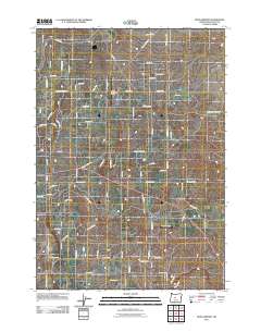 2011 Map of Bend Airport, 2011 Print